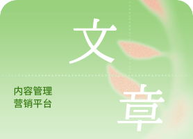 文章